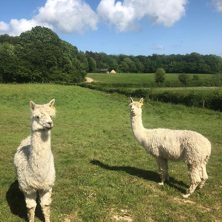 Swallows Oast Glamping Sedlescombe Dış mekan fotoğraf
